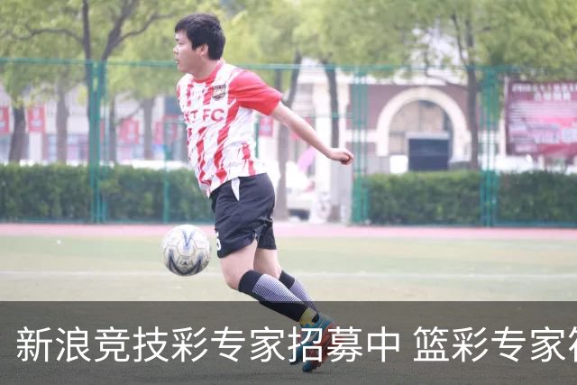 新浪竞技彩专家招募中 篮彩专家符合条件优先录用