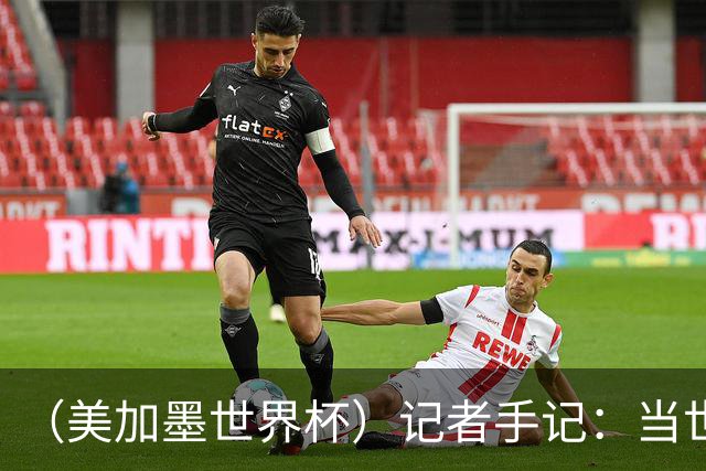 （美加墨世界杯）记者手记：当世界杯再遇上大熊猫